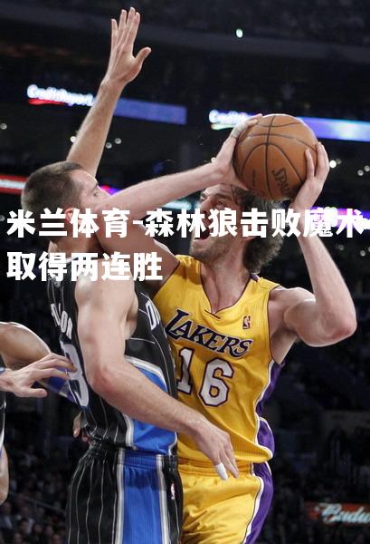 森林狼击败魔术取得两连胜